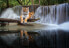 Фото #1 товара Vinyl Fototapete Tiger Wasserfall Natur