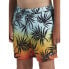 Фото #6 товара QUIKSILVER Mix Vly 14´´ Swimming Shorts