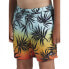 Фото #6 товара QUIKSILVER Mix Vly 14´´ Swimming Shorts