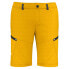 Фото #1 товара SALEWA Lavaredo Shorts