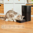 Фото #7 товара CECOTEC Pumba 6000 Purrfect Meal Smart Vision Pet Feeder