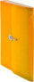 Фото #1 товара Tetis Teczka harmonijkowa PP z gumką (13) A4 pomarańczowa