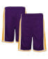 ფოტო #1 პროდუქტის Big Boys Purple Los Angeles Lakers Hardwood Classics Swingman Shorts