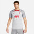 Фото #1 товара Nike Liverpool FC M DR4587 015 T-shirt