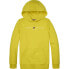 Фото #2 товара TOMMY HILFIGER Essential Cotton hoodie