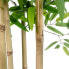 Дерево Home ESPRIT полиэстер Бамбук 80 x 80 x 180 cm