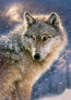 Фото #2 товара Пазл развивающий Castorland "Самотный волк" 500 элементов