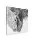 Фото #2 товара PH Burchett Black and White Horses VII Canvas Art - 15" x 20"