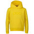 Фото #2 товара POC Logo hoodie