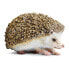 Фото #1 товара SAFARI LTD Hedgehog Figure