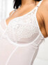 Ivory Rose Fuller Bust DD-G bridal lace and mesh bodysuit in white