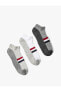 Фото #8 товара 3'lü Patik Çorap Seti Çok Renkli Şerit Detaylı