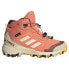 ADIDAS Terrex Mid Goretex hiking shoes