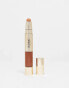 Iconic London Radiant Concealer and Brightening Duo GOLDEN MEDIUM - фото #40