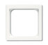 Фото #1 товара BUSCH JAEGER 1710-0-3875 - White - Conventional - Any brand - 63 mm - 63 mm - 51 x 51 mm