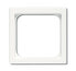 BUSCH JAEGER 1710-0-3875 - White - Conventional - Any brand - 63 mm - 63 mm - 51 x 51 mm