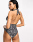 Фото #4 товара ASOS DESIGN Fuller Bust halter plunge swimsuit in mono spot print