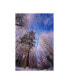 Фото #1 товара Philippe Sainte-Laudy Let it Snow Trees Canvas Art - 20" x 25"