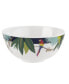 Sara Miller Parrot Bowl, Set of 4