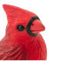 Фото #5 товара Фигурка Safari Ltd Кардинал из серии Cardinal Figure.