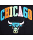 Фото #5 товара Men's Black Chicago Bulls Washed Neon Sweatpants