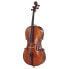 Фото #1 товара Walter Mahr Cello Stradivari Ash Wood 4/4