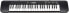 Фото #6 товара Casio CTK-240 Keyboard mit 49 Standardtasten, schwarz