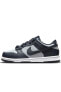 Фото #1 товара Кеды Nike Dunk Low Spor Ayakkabı