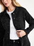 Фото #6 товара Jean Utility Jacket