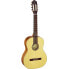 Фото #1 товара Ortega R121SN NT Small Neck, Natural, incl. Bag