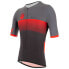 Фото #3 товара SANTINI Ironman Audax short sleeve jersey