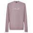 Фото #2 товара OAKLEY APPAREL Embroidered B1B Crew sweatshirt