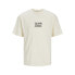 JACK & JONES Noto Graphic short sleeve T-shirt