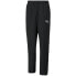 Фото #1 товара Puma teamRise Sideline Pants M 657327 03