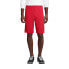 Men's School Uniform Mesh Gym Shorts