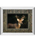 Фото #1 товара White Tail Buck by Tony Campbell Double Matted Mirror Framed Print Wall Art - 34" x 40"