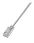 Фото #1 товара Wirewin SLIM Light STP - 0.25 m - Cat6 - U/FTP (STP) - RJ-45 - RJ-45