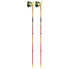 LEKI Ultratrail FX One Poles