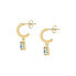 Charming gold-plated hoop earrings with pendants Colori SAVY07