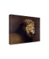 Фото #2 товара Harro Maass 'Lion Male' Canvas Art - 32" x 24"