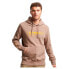 Фото #1 товара SUPERDRY Utility Sport Logo Loose hoodie