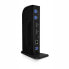 Stacja/replikator Icy Box IB-DK2242AC USB 3.0 (60333)