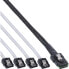Фото #2 товара InLine SAS Cable Mini SAS SFF8087 to 4x SATA direct OCR 0.5m