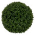 Фото #1 товара Декоративное растение Зеленый PVC 20 x 20 см BB Home - искусственное