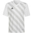 Фото #2 товара Adidas Entrada 22 Graphic Jersey Jr HF0120