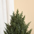 Weihnachtsbaum 830-384