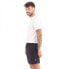 Фото #3 товара VIBORA King Shorts