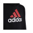 Фото #3 товара Adidas Big Logo 2 Hoody JR