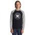 DC SHOES Strpltrglncwb sweatshirt