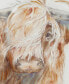 Фото #6 товара Windswept Hand Embellished Highland Bull Canvas Wall Art